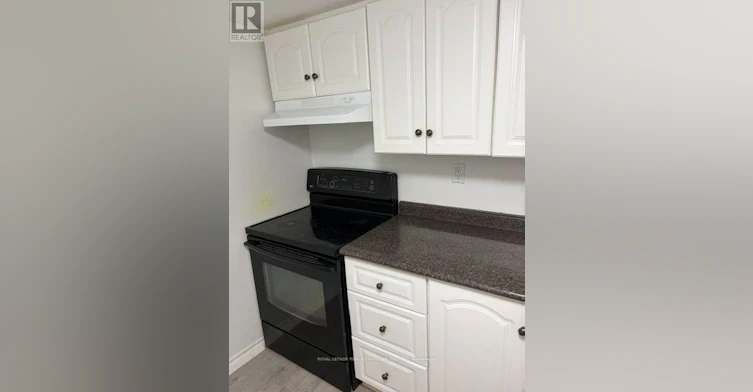 BASEMENT-78 Bristol Road, Newmarket, ON, L3Y 8B5 - 11
