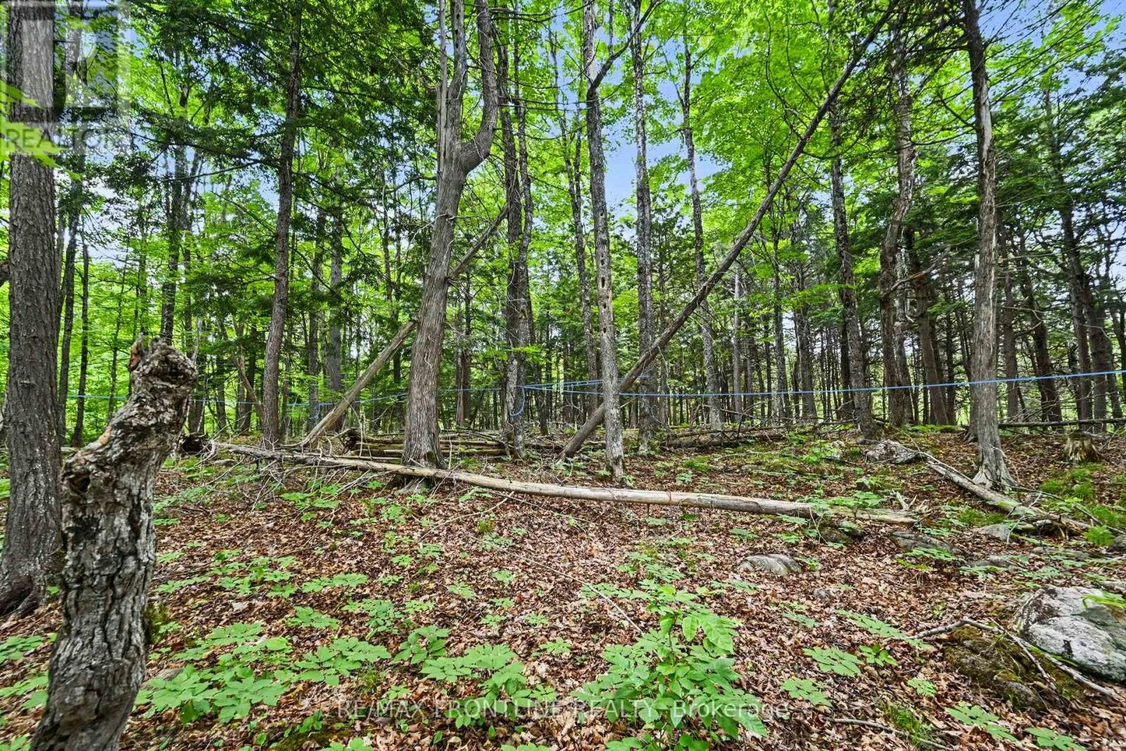 634 5a Dalhousie Concession, Lanark, ON, K0G 1K0