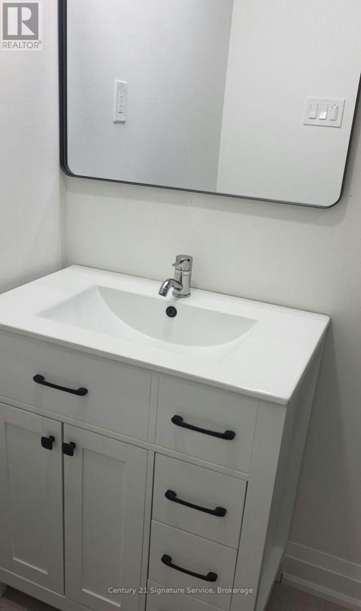 BASEMENT-223 Hickling Trail, Barrie, ON, L4M 5W6 - 6