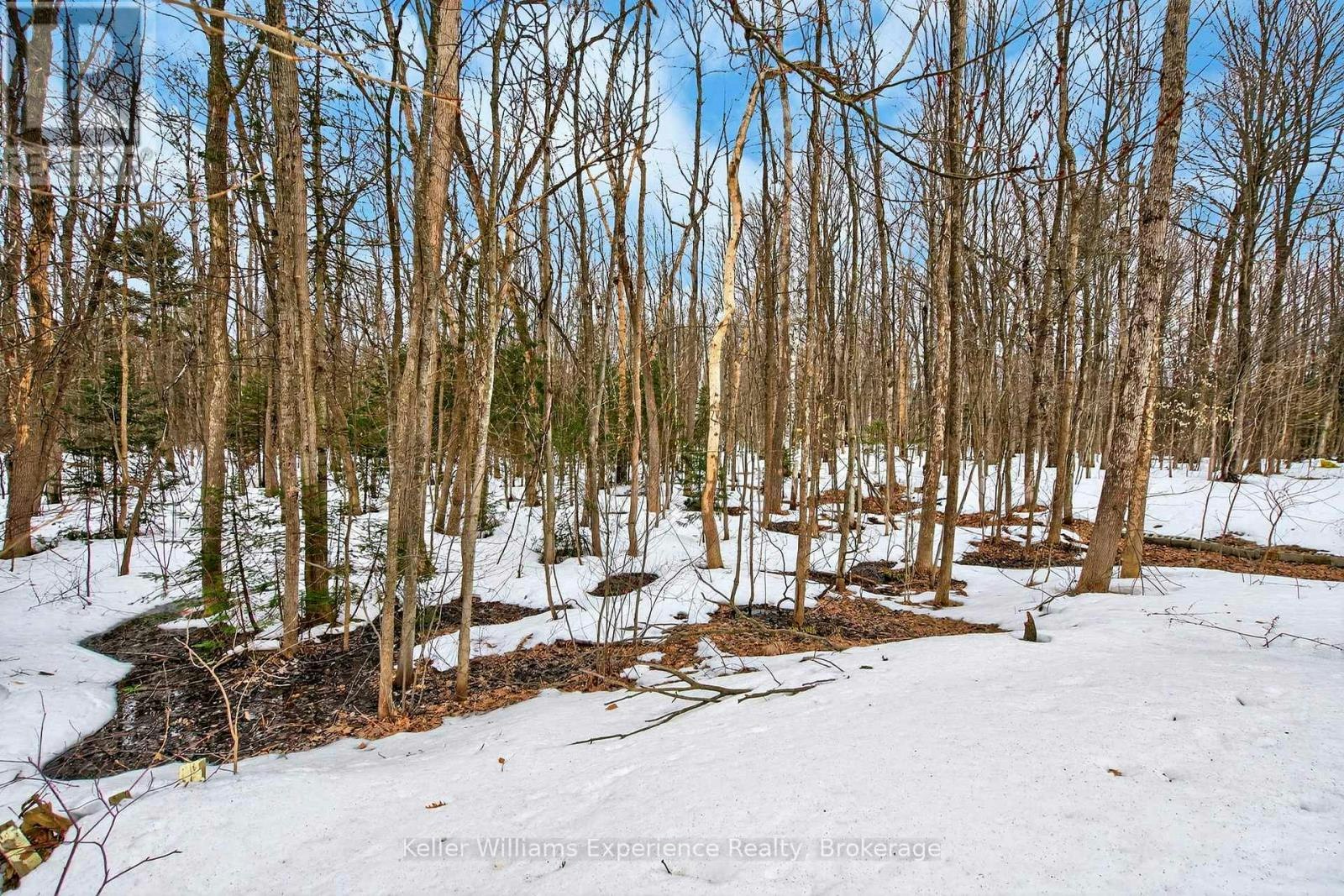 29 Nida Drive, Tiny, ON, L9M 0B3 - 39