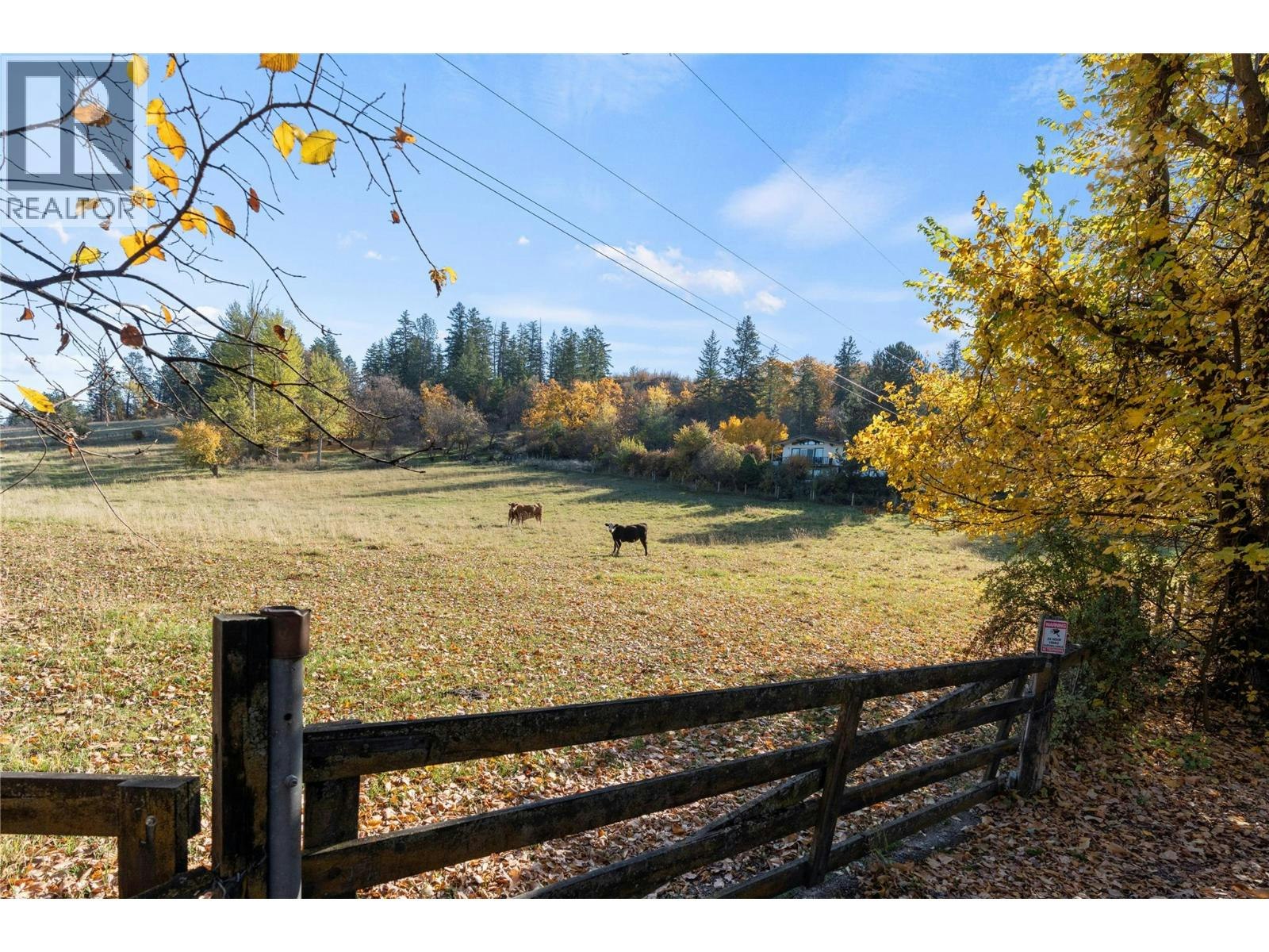 6709 Cosens Bay Road - 3