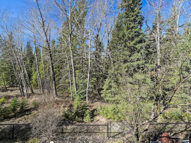 110 Discovery Ridge Boulevard SW, Calgary, AB, T3H 4Y2 - 41