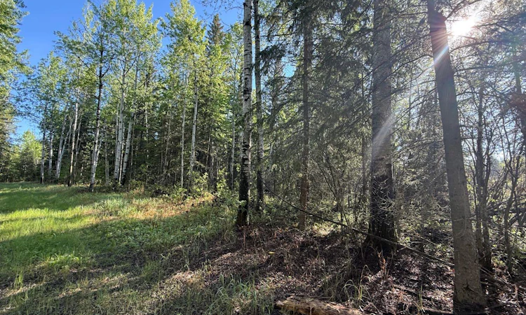 Township road 640
