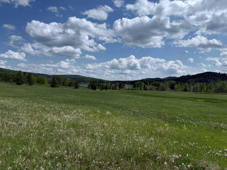 352245 194 Avenue W, Foothills County, AB, T3Z 3R3 - 3