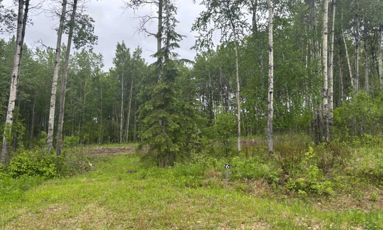 #6-660023 Range Road 224