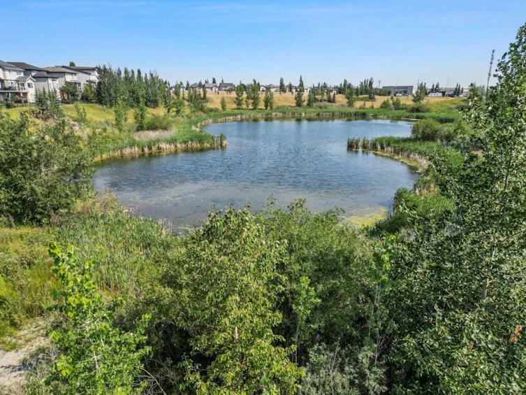 2418-215 Legacy Boulevard SE, Calgary, AB, T2X 3Z5 - 48
