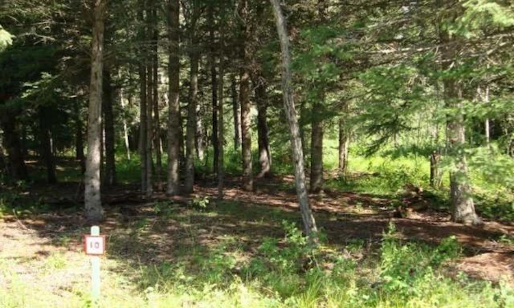 Lot 12 Oak Bay