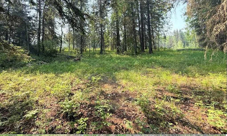 221054 670 Township