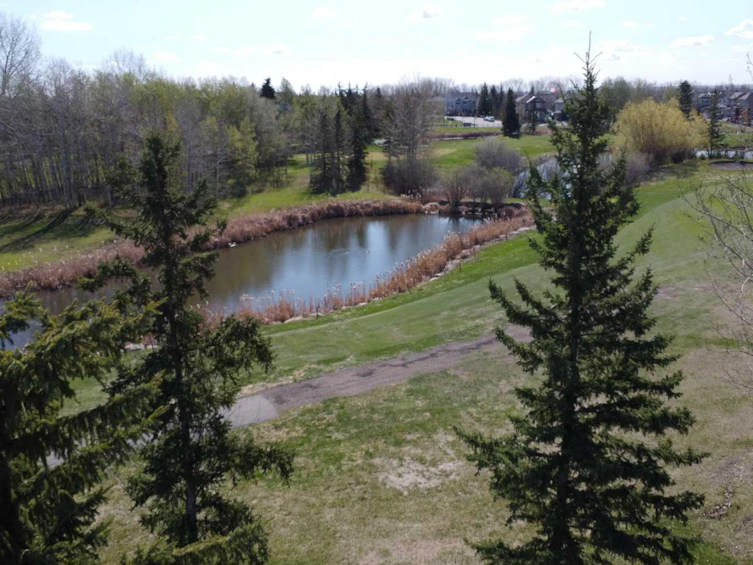 358 Crystal Green Rise, Okotoks, AB, T1S 2N6 - 42