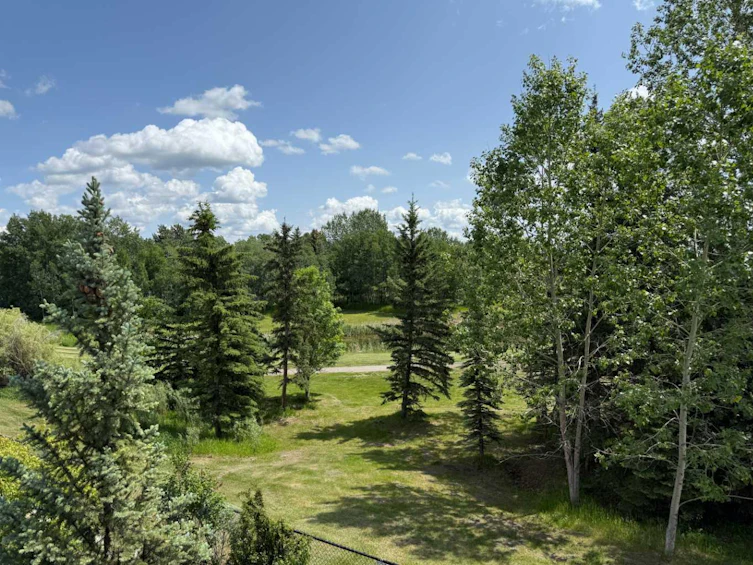 358 Crystal Green Rise, Okotoks, AB, T1S 2N6 - 44