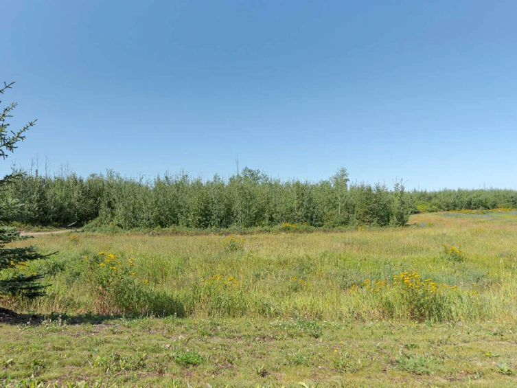 279-401 Athabasca Avenue, Fort Mcmurray, AB, T9J 0A1 - 44