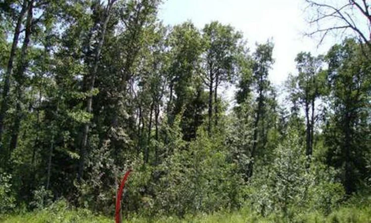Lot 3 Blk 5 Lakeside Drive