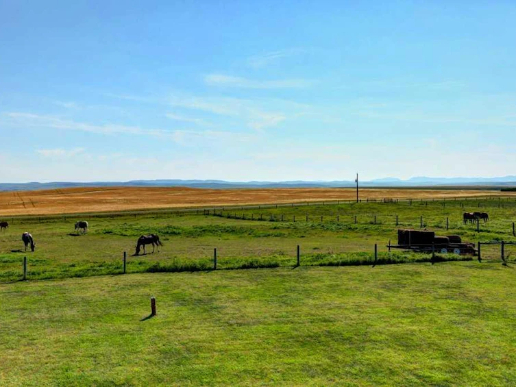 642243 72 Street E, Foothills County, AB, T0L 0P0 - 32