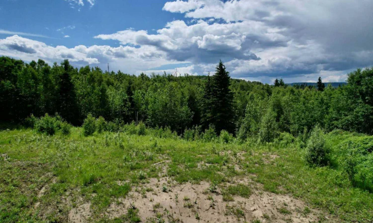 Lot 19 Mountain Springs