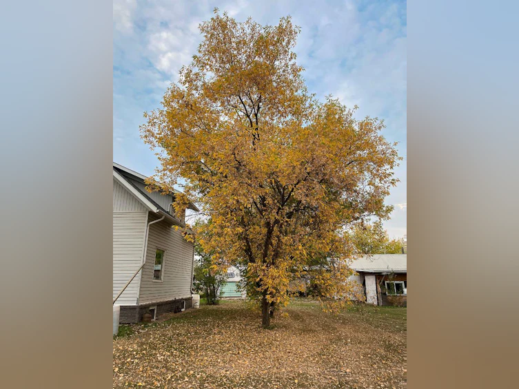 131 2nd Street NW, Falher, AB, T0H 1M0 - 31