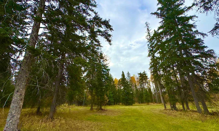 201 High Timber Place