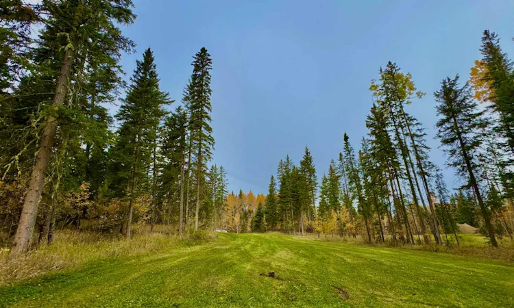 156 Meadow Ponds Drive