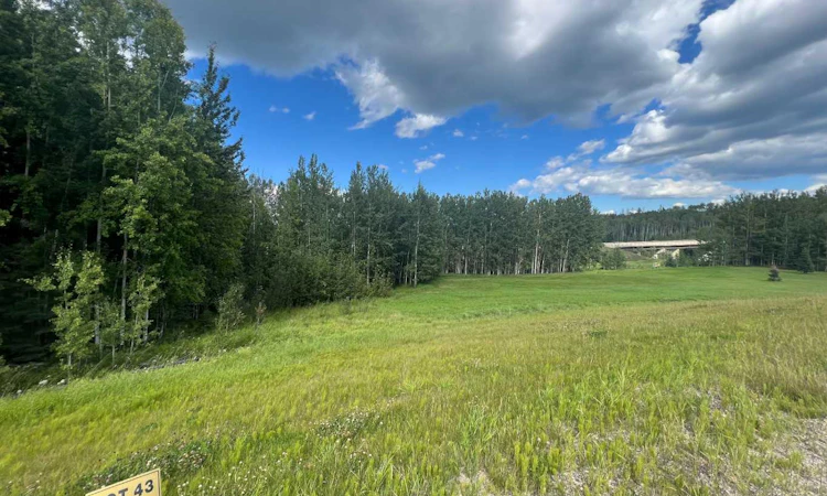 #43 River Ridge Estates