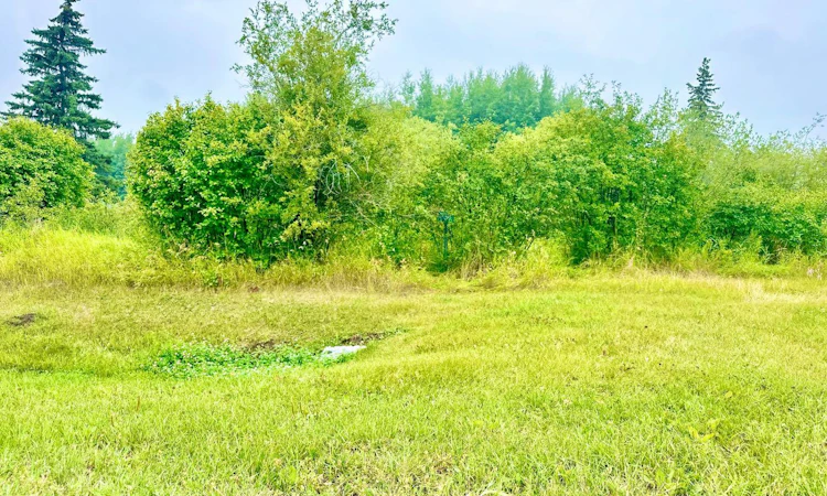 538-13221 Twp Rd 680 Township