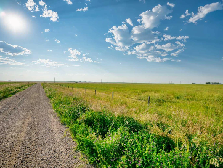 182020 Range Road 254, Vulcan, AB, T0L 0L0 - 16