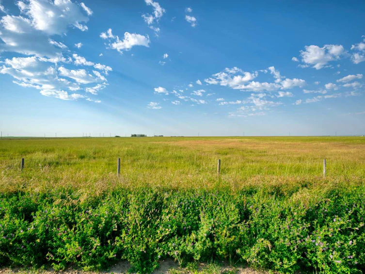 182020 Range Road 254, Vulcan, AB, T0L 0L0 - 15