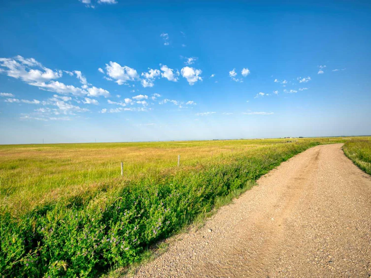 182020 Range Road 254, Vulcan, AB, T0L 0L0 - 14
