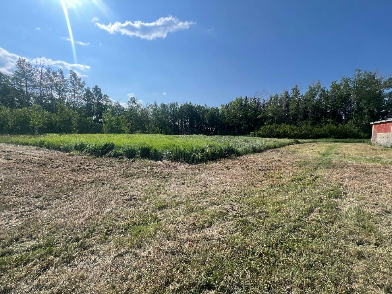  30308 Rr50, Rural Mountain View County, AB, T0M 0R0