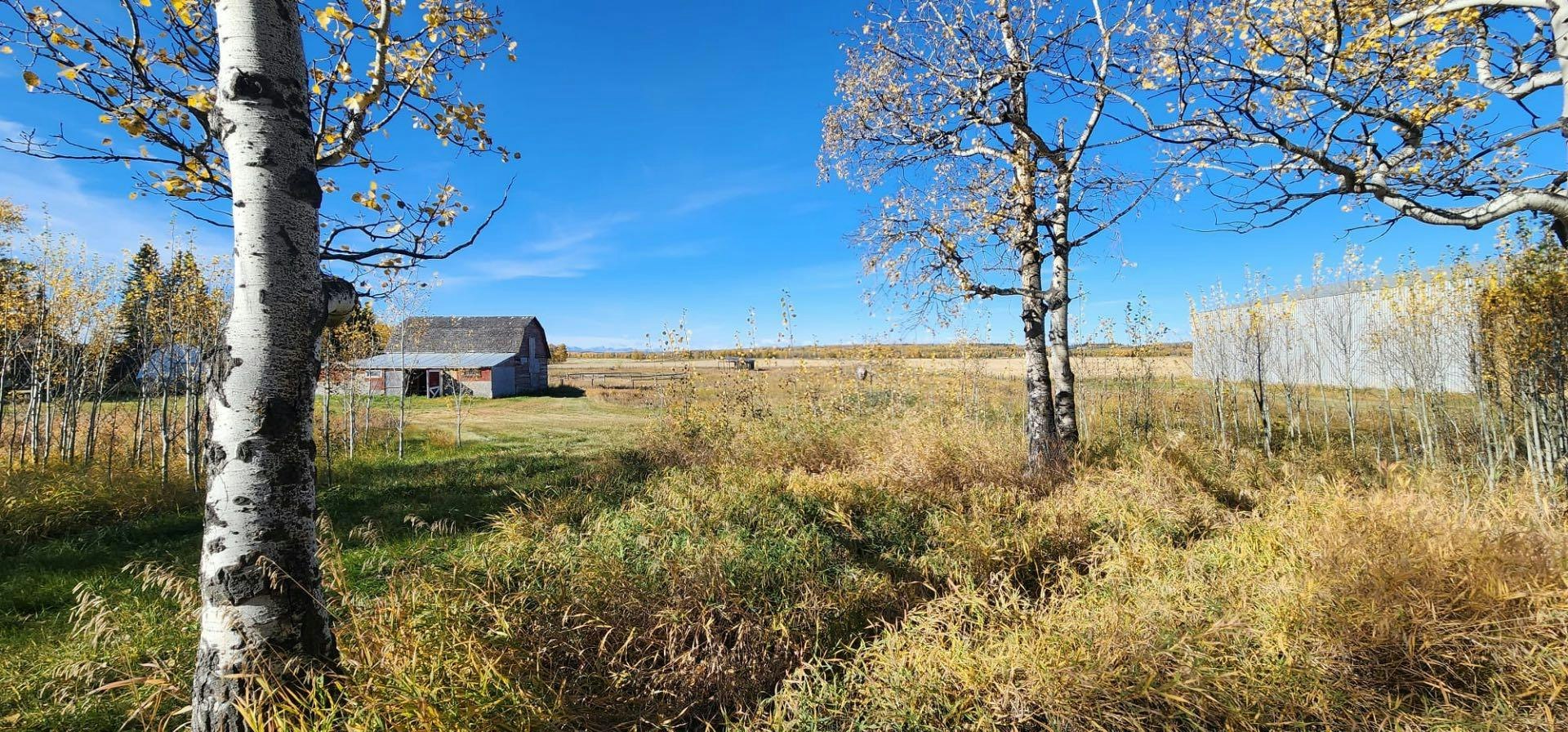  30308 Rr50, Rural Mountain View County, AB, T0M 0R0