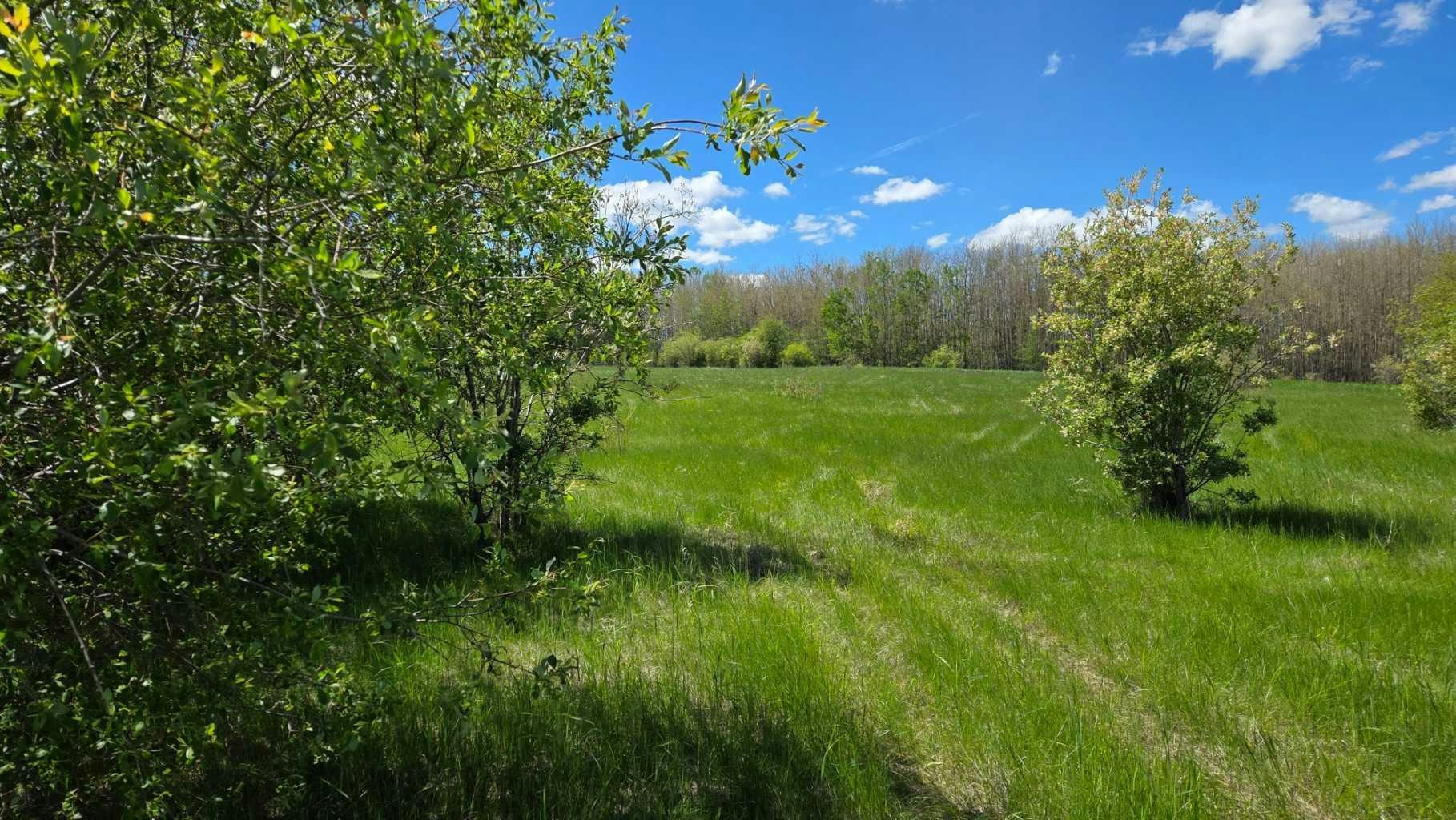 22-15025 Twp Rd 470 Road, Wetaskiwin, AB, T0C 2V0