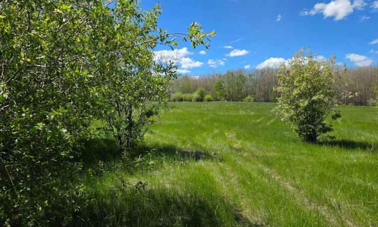 22-15025 Twp Rd 470 Road