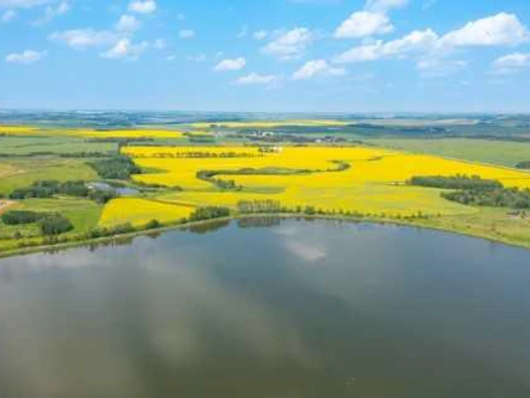 5901 50 Avenue, Innisfail, AB, T4G 1R7 - 12