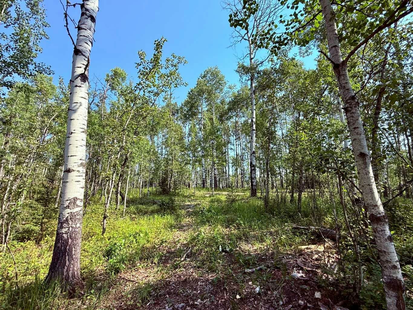 40-29066 Range Road 52, Rural Mountain View County, AB, T0M 2E0
