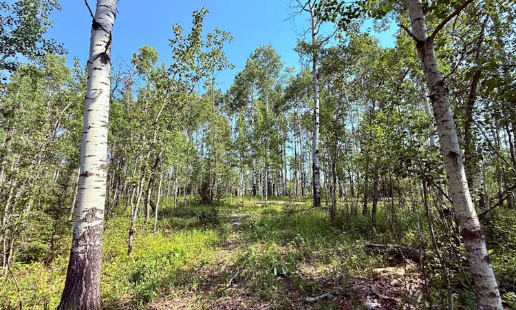 40-29066 Range Road 52