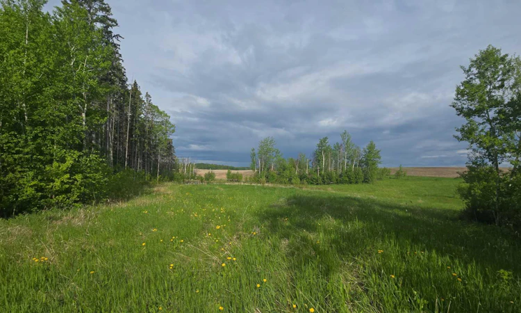 #118, 15421 Old Trail