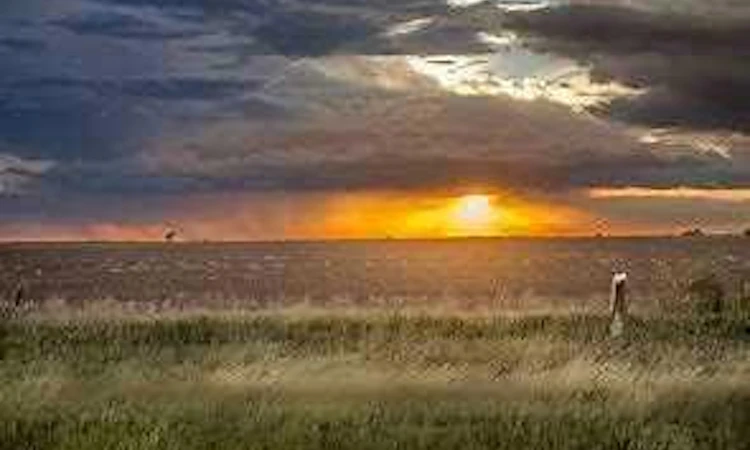 235082 Range Road 243