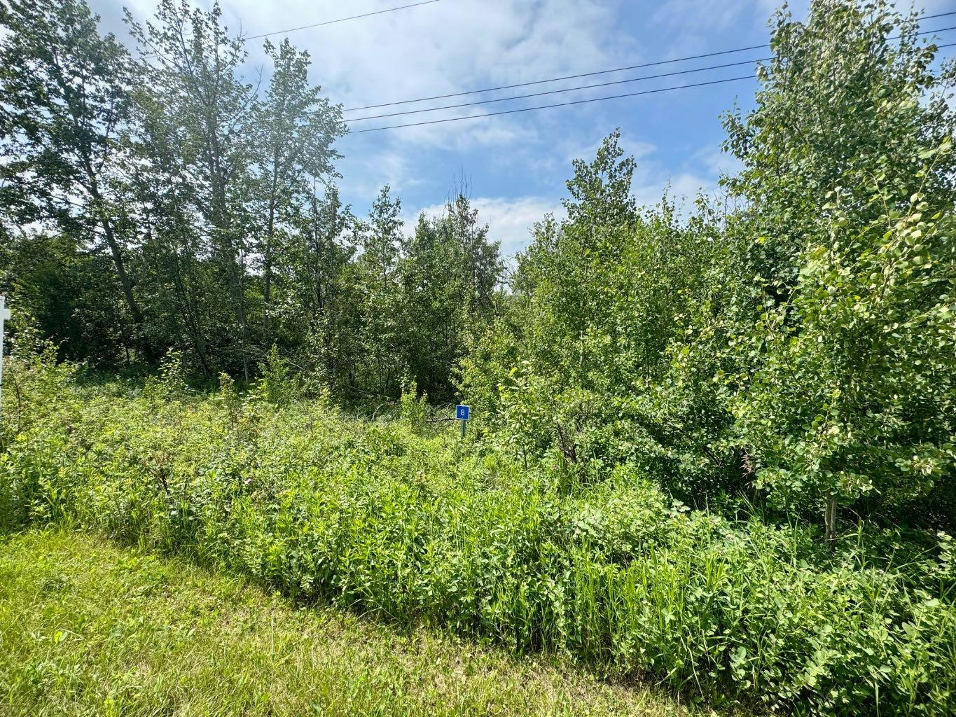 8 Buffalo Drive, Stettler, AB, T0C 3B0