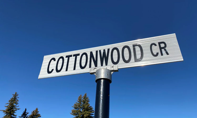 48 Cottonwood Crescent