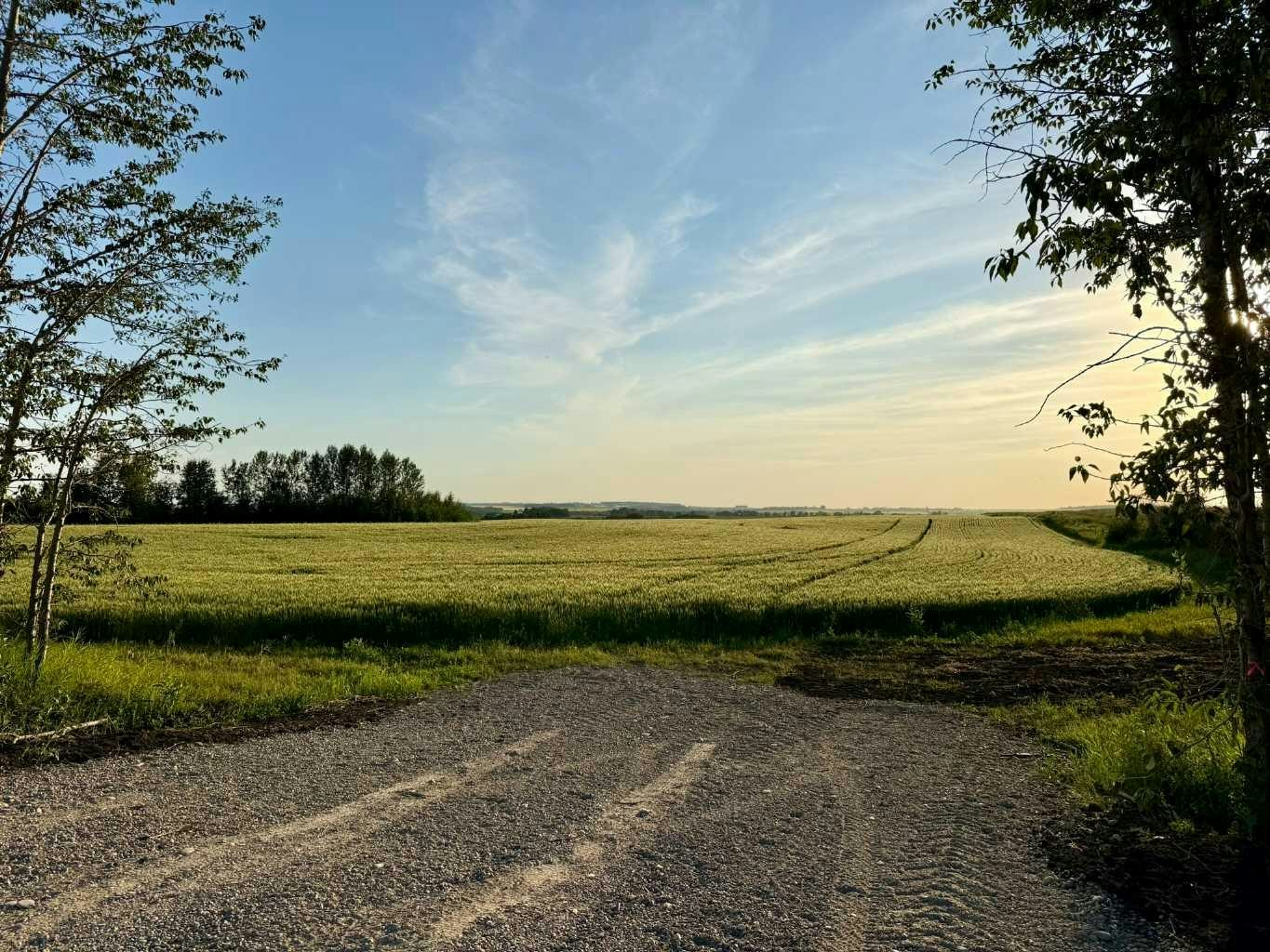30440 Range Road 35, Rural Mountain View County, AB, T0M 0R0