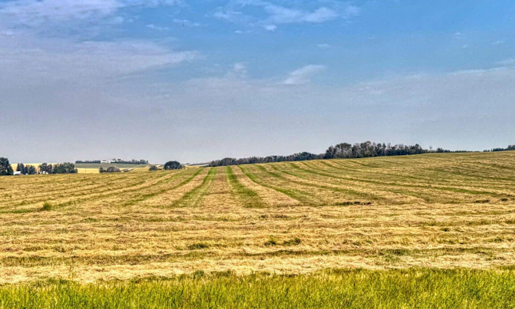 In Kneehill County