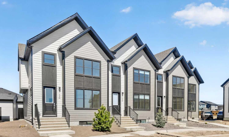 1137 Sailfin Heath