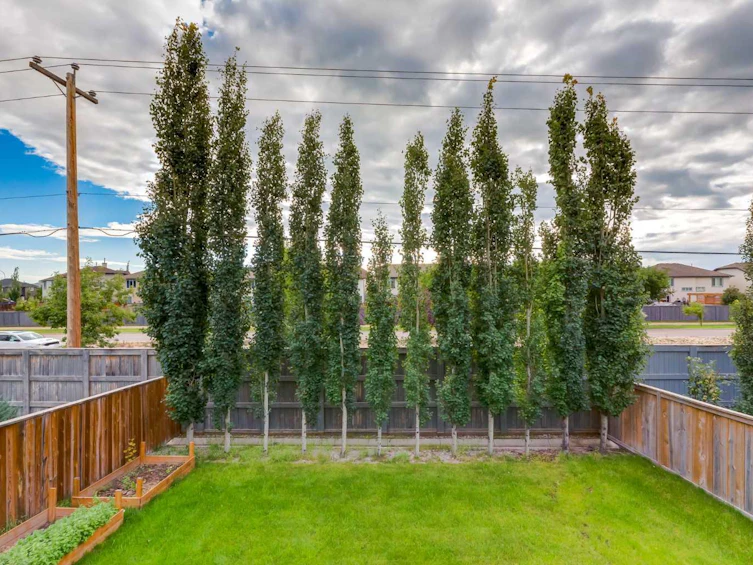 165 Bayside Loop SW, Airdrie, AB, T4B 3W7 - 39