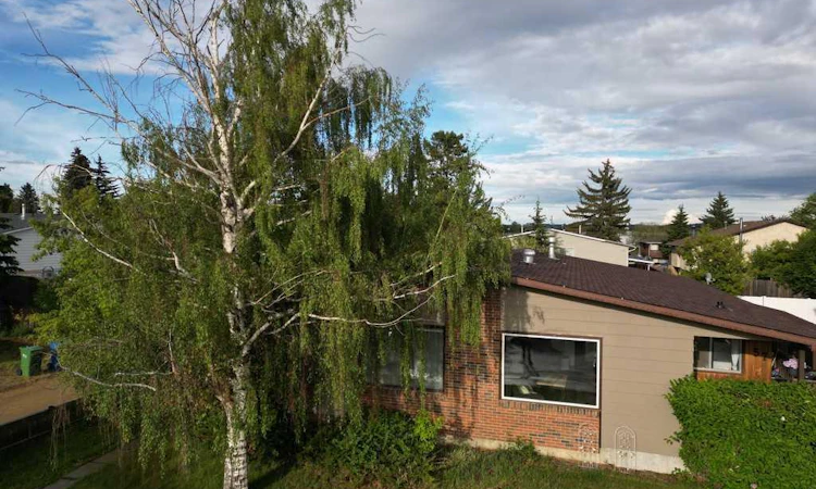 59 Nichols Crescent