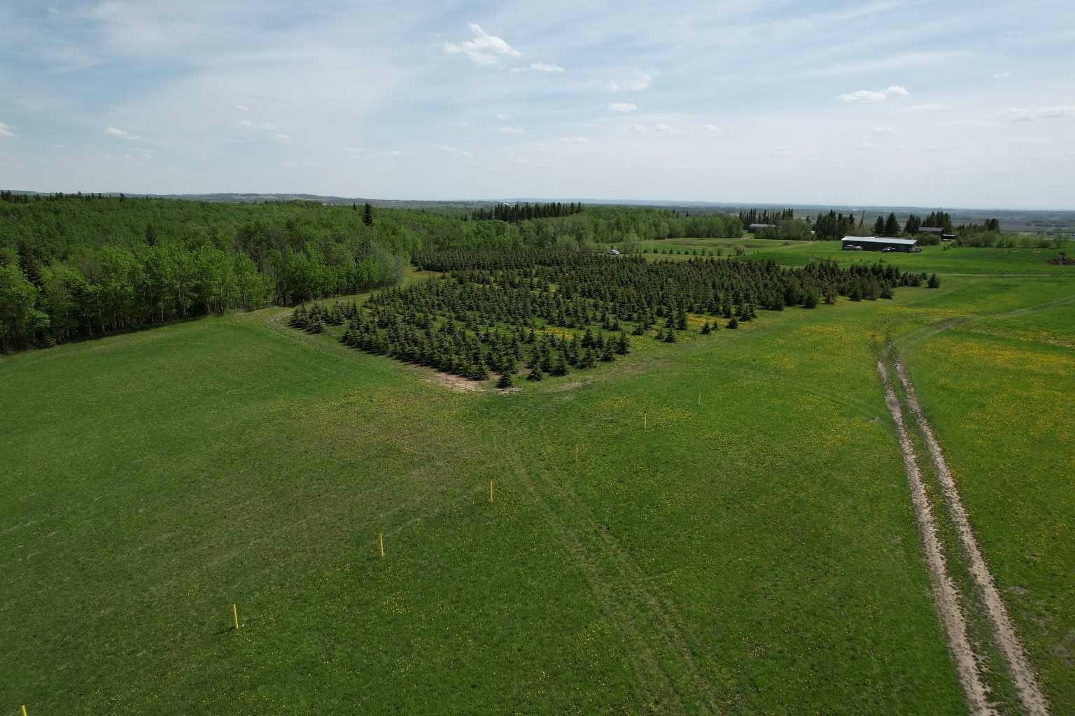 NE22-74-6-W6 62 Range Road, County of Grande Prairie, AB, T0H 3C0