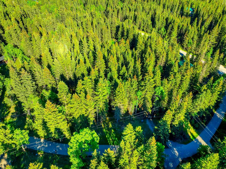13 Chickadee Road, Rural Bighorn M.D., AB, T0L 1N0 - 6