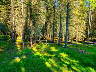 13 Chickadee Road - 3