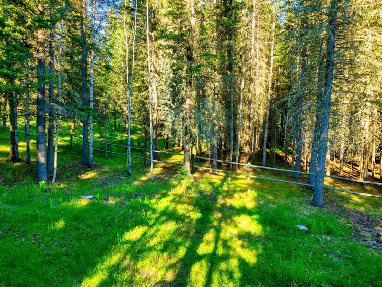 13 Chickadee Road, Rural Bighorn M.D., AB, T0L 1N0 - 4