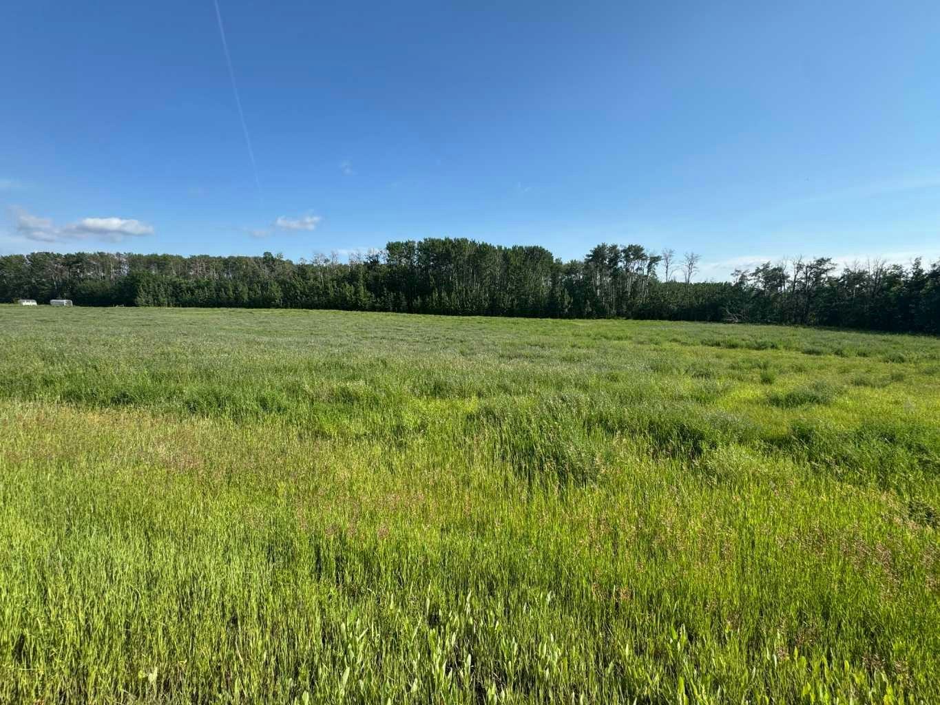 Lot 5-NW-36-70-7-W6 Part Of NW, County of Grande Prairie, AB, T8W 5C7