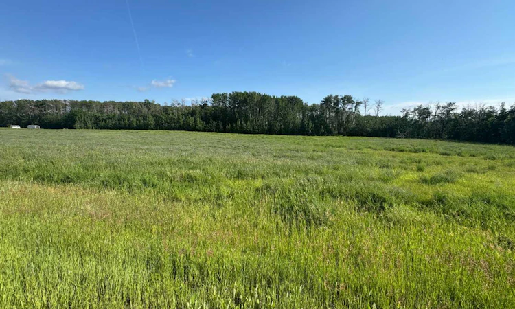 Lot 5-NW-36-70-7-W6 Part Of NW