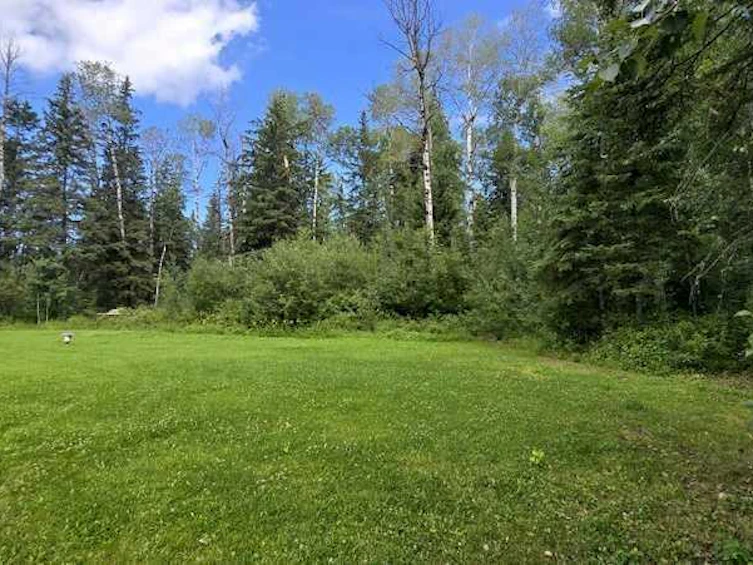 981 Fox Drive, Rural Opportunity M.D., AB, T0G 2K0 - 33