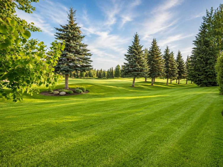 35 Crooked Pond Green, Rural Rocky View County, AB, T3Z 3E7 - 49